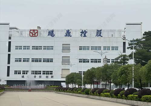 直击股东大会丨鹏鼎控股董事长沈庆芳 单一大客户占比超50%是结果 核心是满足客户需求并持续拓展